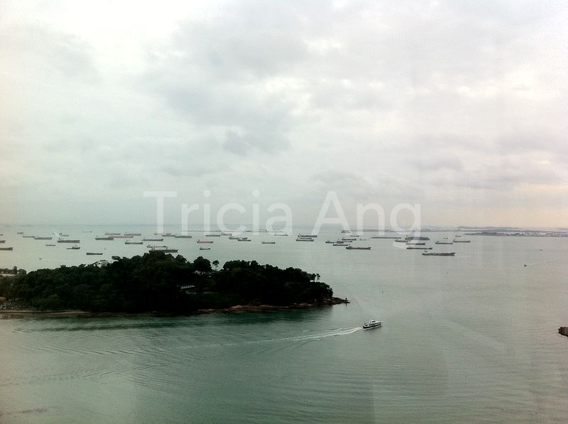 3 Bed Condo for Sale in  Reflections At Keppel Bay - Image 5