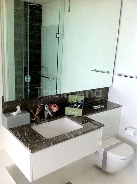 3 Bed Condo for Sale in  Reflections At Keppel Bay - Image 11