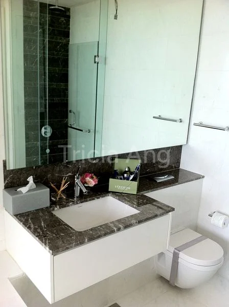 3 Bed Condo for Sale in  Reflections At Keppel Bay - Image 11