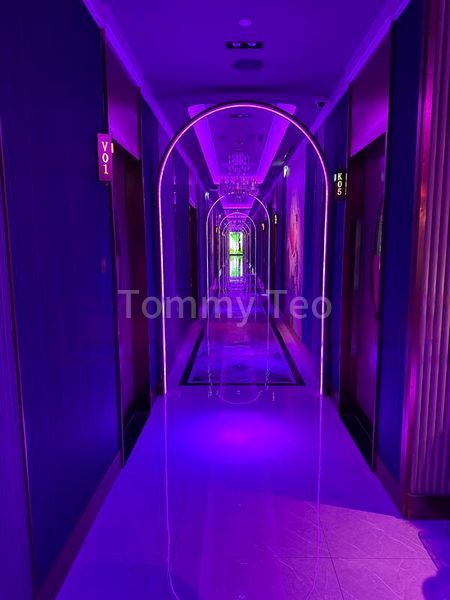 Food & Beverage for Rent: Prime 4-storey shophouse, high footfall and prominent visibility in district 7 for lease - Image 3