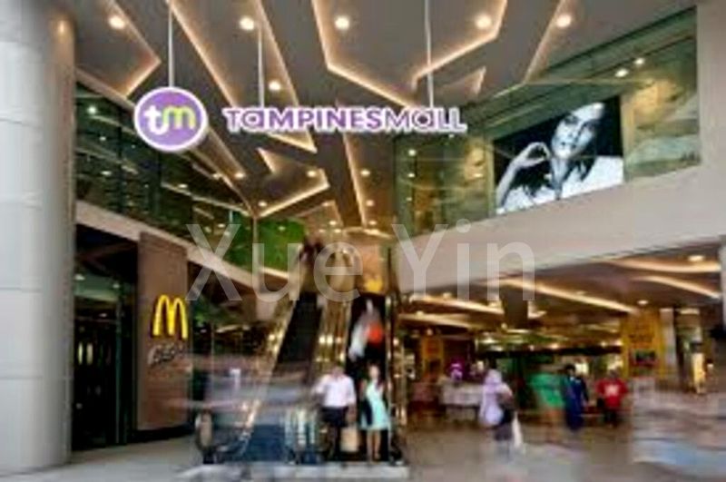 3 Bed Condo for Rent in  The Eden At Tampines - Image 10