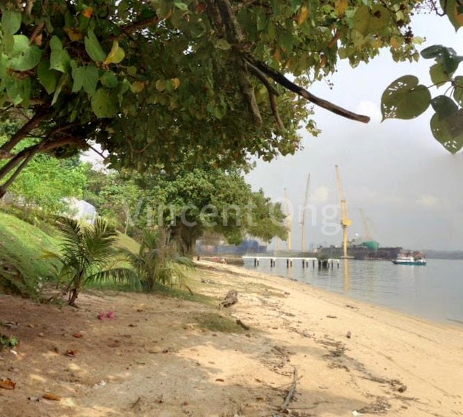 4 Bed Terraced House (Landed) for Sale in Sembawang Straits Estate - Image 4