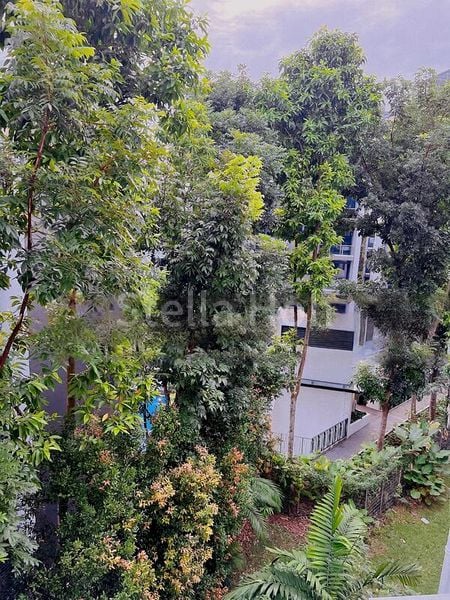 Room (Condo) for Rent in  Cavenagh Gardens - Image 11