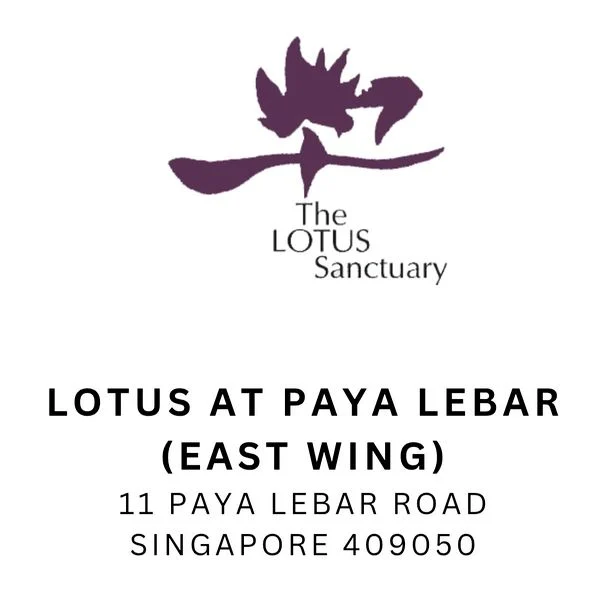 1 Bed Condo for Rent in  Lotus at Paya Lebar (East Wing) - Image 10
