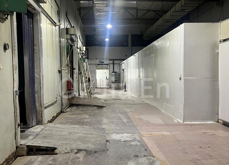 Factory / Workshop (B2) for Sale: 6X Woodlands Terrace, Motivated Seller - Image 4