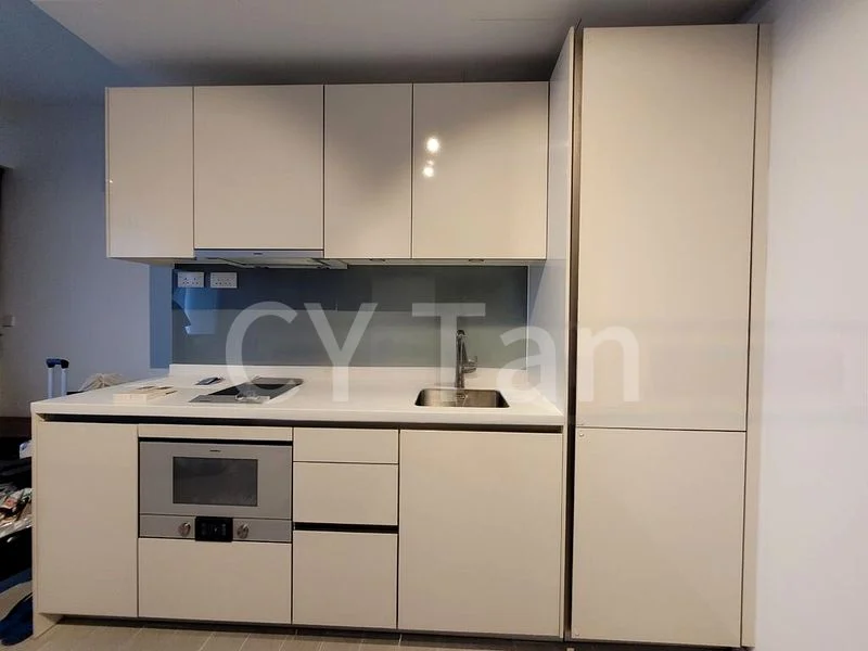 1 Bed Condo for Sale in  V On Shenton - Image 3