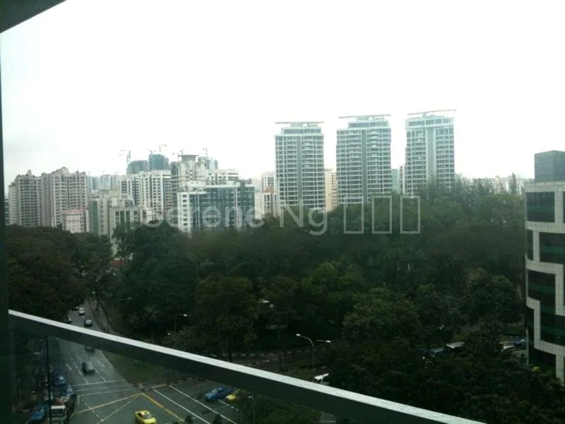 4 Bed Condo for Rent in  Paterson Residence - Image 4