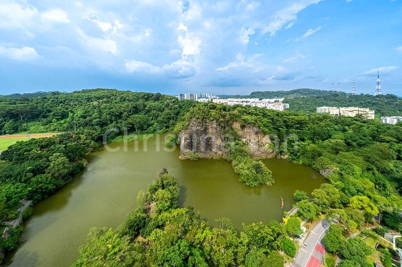 4 Bed Condo for Sale in  Guilin View - Image 1