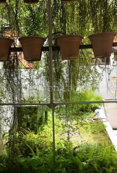 4 Bed Terraced House (Landed) for Sale in  Jalan Terubok - Image 12