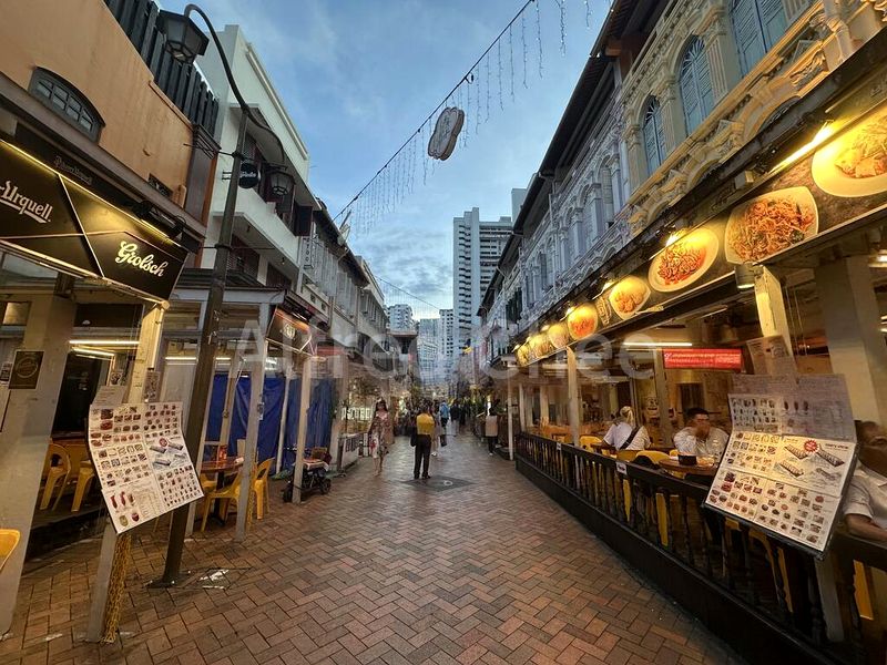 Shop / Shophouse for Sale: Prime, High Human Traffic 3-Storey Pagoda Street Shophouse - Image 4