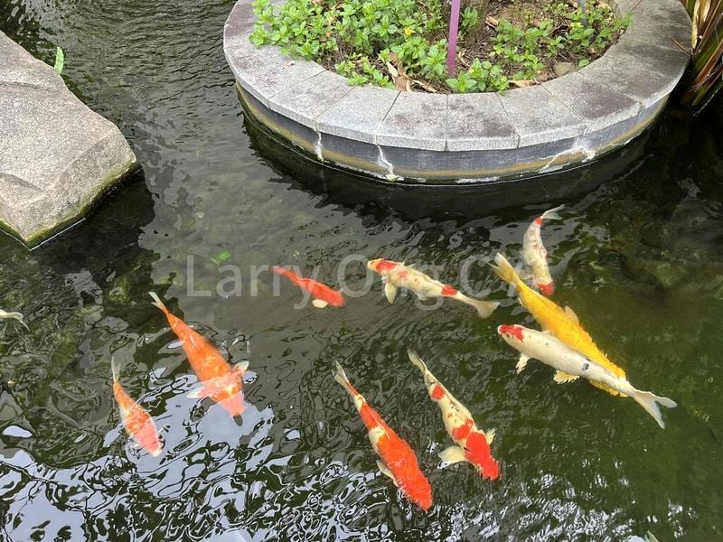 4 Bed Condo for Sale in  Flamingo Valley - Image 14