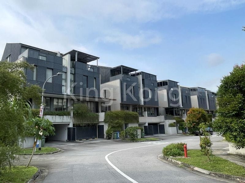 4 Bed Semi-Detached House (Landed) for Rent in  Bukit Timah Road - Image 11