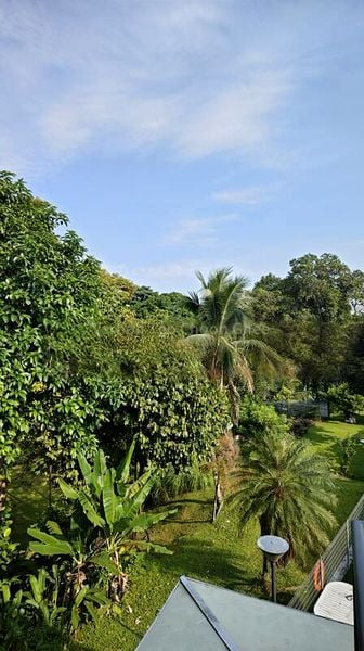 10 Bed Bungalow (Landed) for Sale in  The Hillford - Image 13