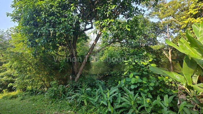 10 Bed Bungalow (Landed) for Sale in  The Hillford - Image 8