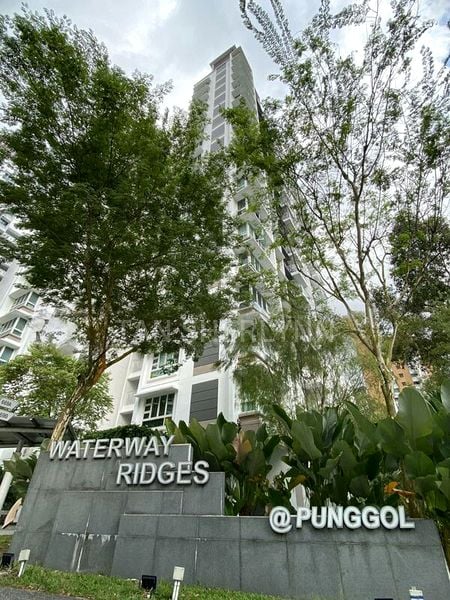 Common Room (HDB) for Rent in  669B Edgefield Plains - Image 1