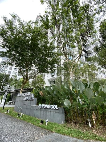 Common Room (HDB) for Rent in  669B Edgefield Plains - Image 10