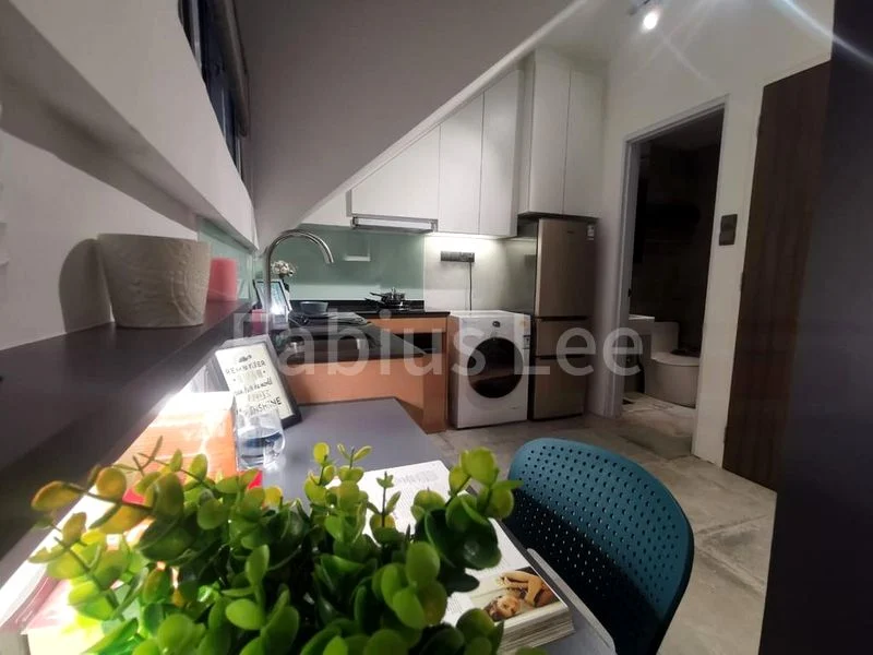 Studio Shophouse (Landed) for Rent in  Sophia Road - Image 12