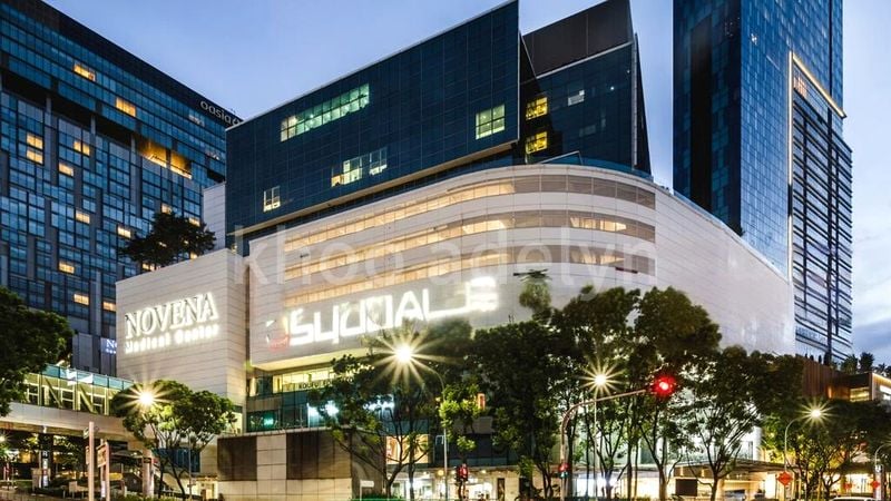 6 Bed Semi-Detached House (Landed) for Sale in  Bo Seng Avenue - Image 4