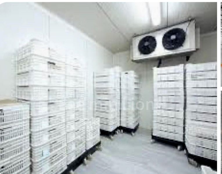 Factory / Workshop (B2) for Rent: CT Foodchain - Image 5