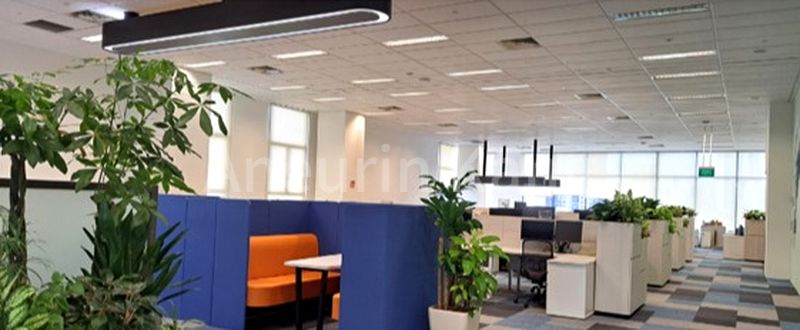 Light Industrial (B1) for Rent in  Toa Payoh North - Image 3