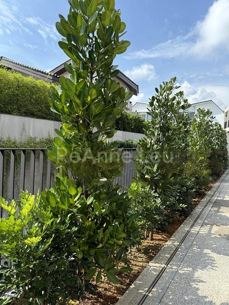 5 Bed Terraced House (Landed) for Sale in  Mount Rosie Road - Image 6