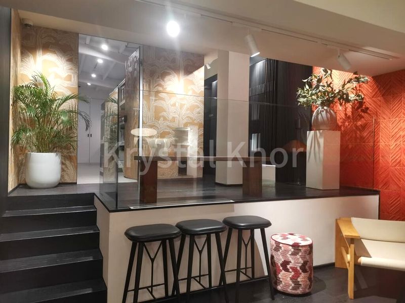 Office for Sale: A Prestigious Freehold Shophouse on Cantonment Road - Image 14