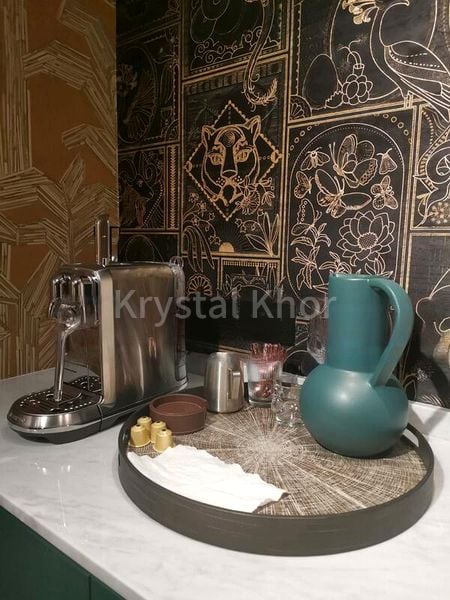 Office for Sale: A Prestigious Freehold Shophouse on Cantonment Road - Image 12