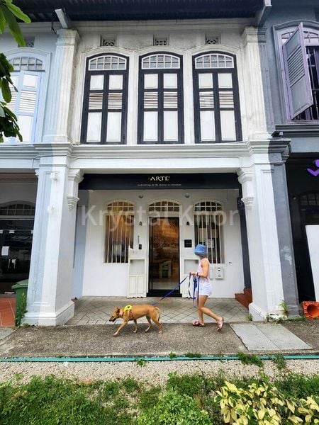 Office for Sale: A Prestigious Freehold Shophouse on Cantonment Road - Image 8