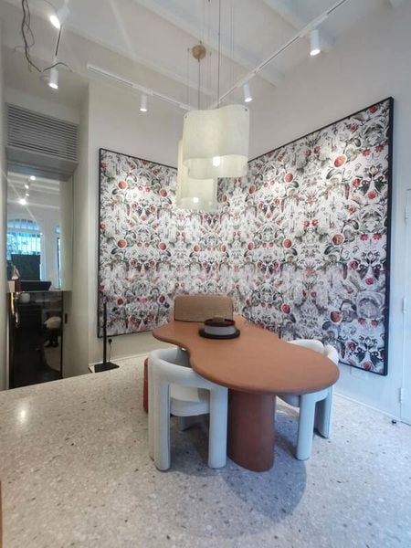 Office for Sale: A Prestigious Freehold Shophouse on Cantonment Road - Image 15