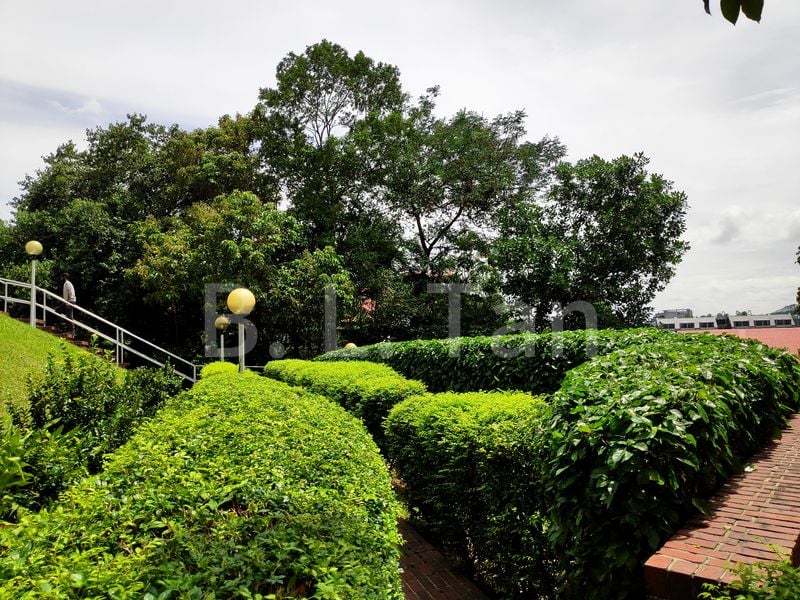 3 Bed Condo for Rent in  Dormer Park - Image 5