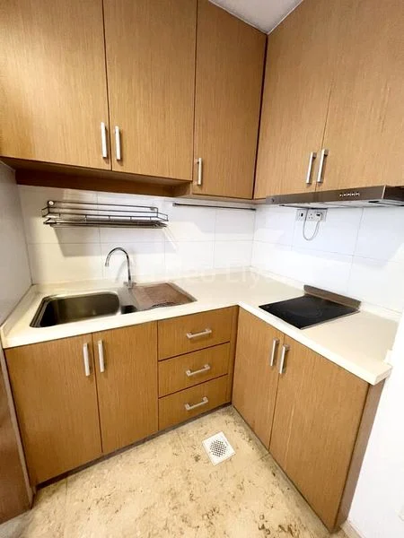 Studio Apartment (Condo) for Rent in  The Scenic @ Braddell - Image 5