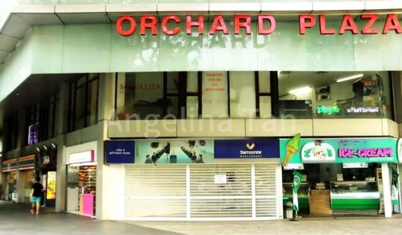 Other Retail for Sale: Orchard Plaza - Image 1