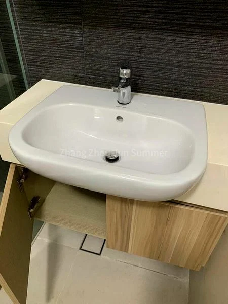 2 Bed Condo for Sale in  Natura @ Hillview - Image 4