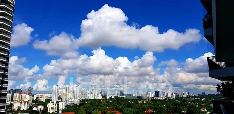 3 Bed Condo for Rent in  D'leedon - Image 13