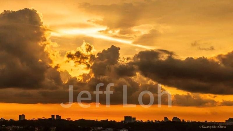 3 Bed Condo for Rent in  D'leedon - Image 8