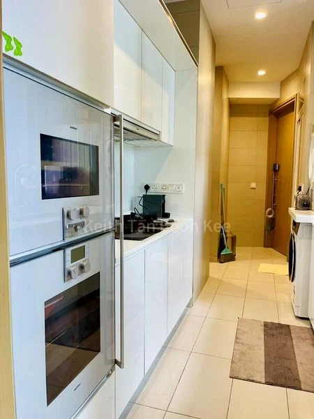 4 Bed Condo for Rent in  Skyline 360 @ Saint Thomas Walk - Image 3