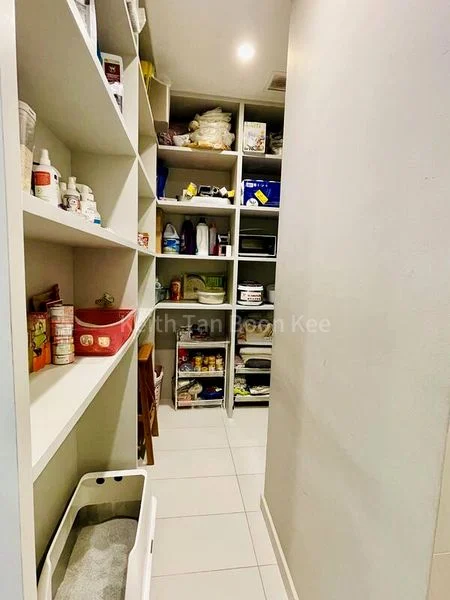 4 Bed Condo for Rent in  Skyline 360 @ Saint Thomas Walk - Image 1