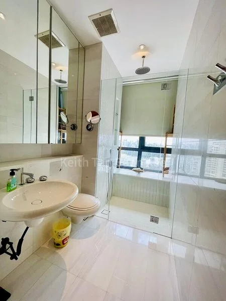 4 Bed Condo for Rent in  Skyline 360 @ Saint Thomas Walk - Image 10