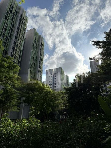 Common Room (HDB) for Rent in  101A Bidadari Park Drive - Image 1