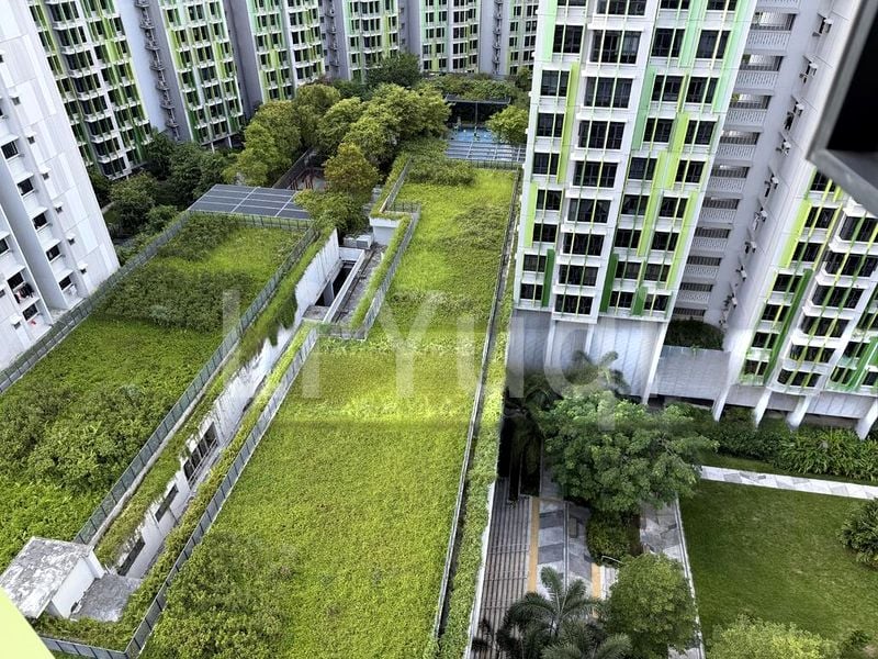 Common Room (HDB) for Rent in  101A Bidadari Park Drive - Image 2