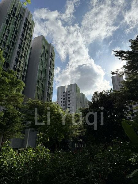 Common Room (HDB) for Rent in  101A Bidadari Park Drive - Image 8