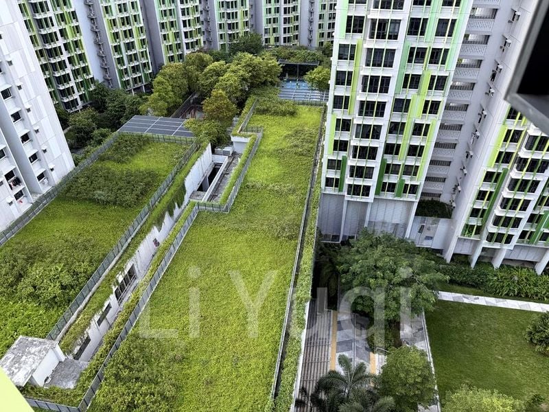 Common Room (HDB) for Rent in  101A Bidadari Park Drive - Image 7
