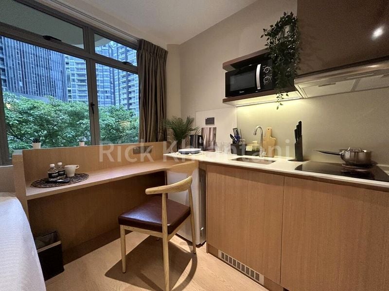1 Bed Apartment (Condo) for Rent in  2 Mount Elizabeth Link - Image 2