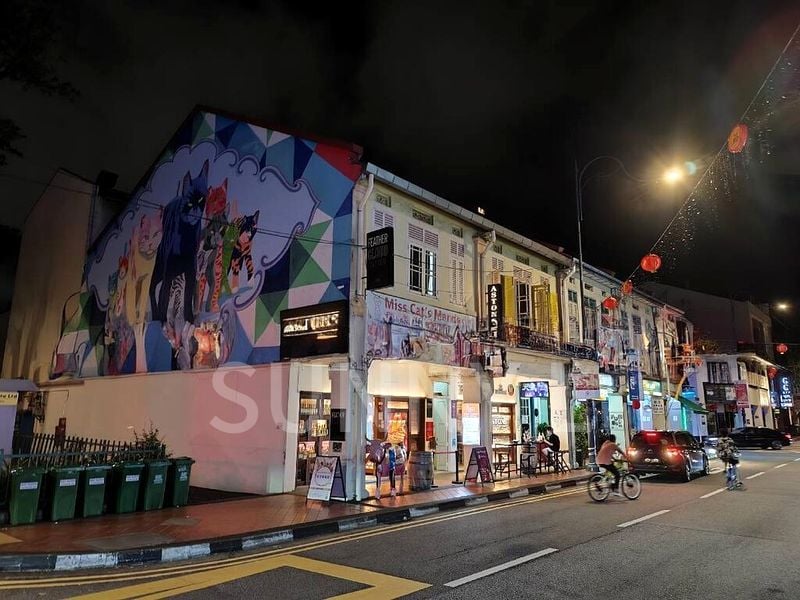 Shop / Shophouse for Rent: Prime Lifestyle Retail on Joo Chiat Road - Image 5