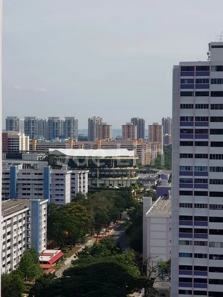 Master Room (HDB) for Rent in  516 Bedok North Avenue 2 - Image 6