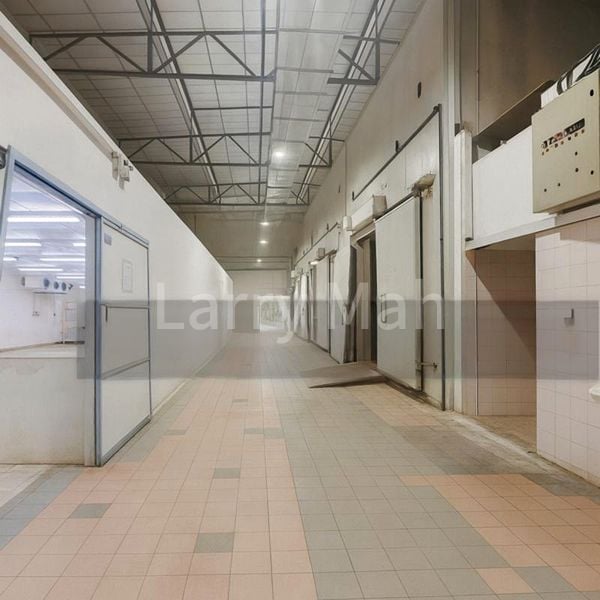 Factory / Workshop (B2) for Rent: Woodlands Terrace - Image 4