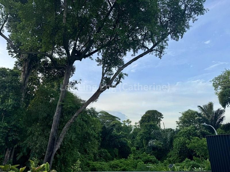 5 Bed Corner Terrace (Landed) for Sale in  Mount Rosie Road - Image 10