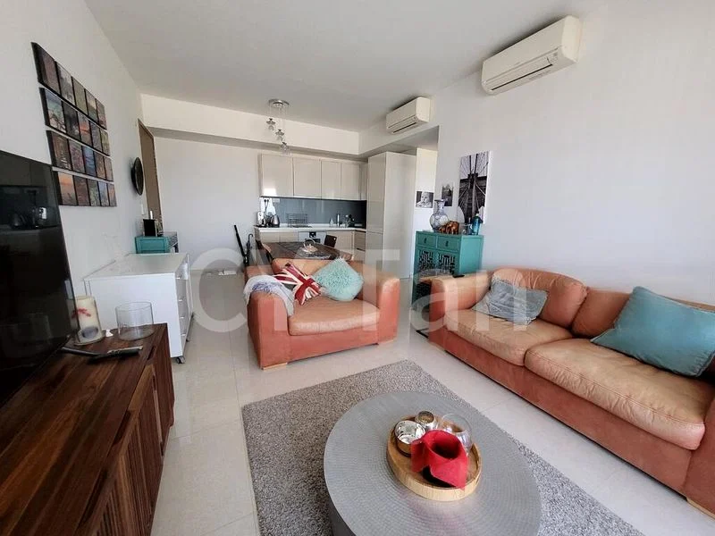 2 Bed Condo for Sale in  V On Shenton - Image 1