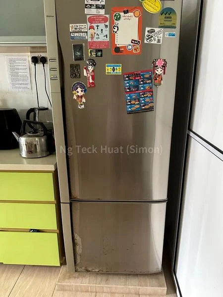 Common Room (HDB) for Rent in 288 Tampines Street 22 - Image 4