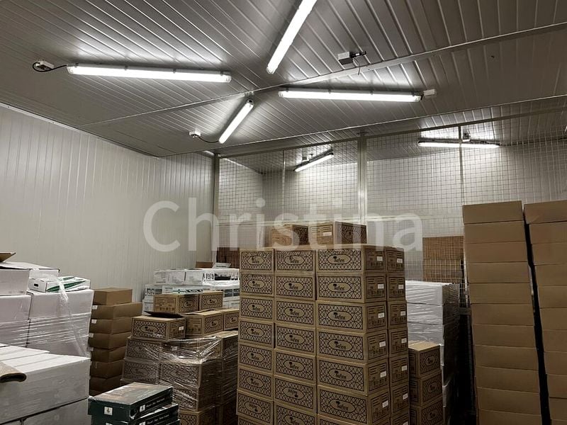 Light Industrial (B1) for Sale: Ubi Techpark - Image 6